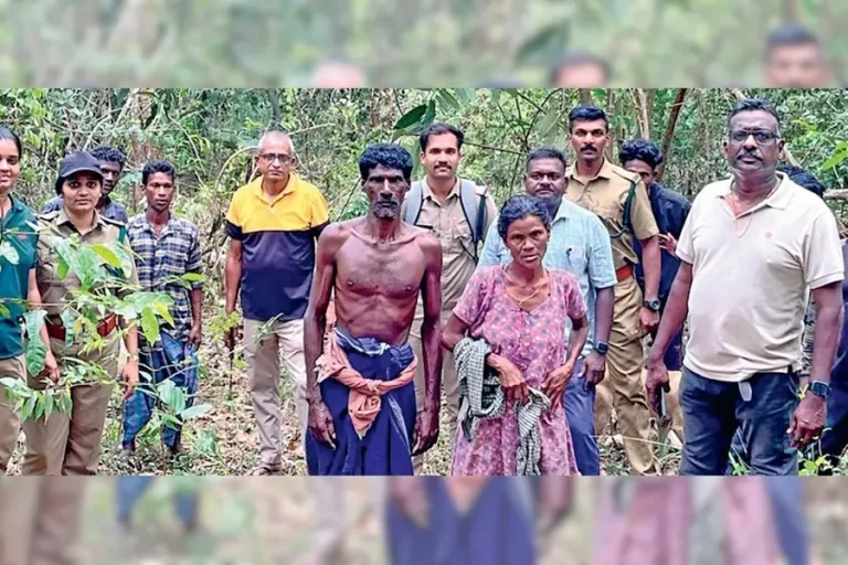 കാട്ടാനകളെ ഭയന്ന് മരത്തിനു മുകളിൽ, രക്ഷപ്പെടുത്തി വനപാലകർ; ജീവൻ കിട്ടിയ സന്തോഷത്തിൽ ദമ്പതിമാർ