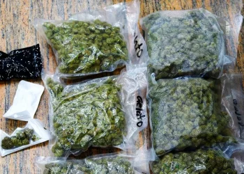 1.86 കോടിയുടെ ഹെെബ്രിഡ് കഞ്ചാവ് കടത്താൻ ഡോക്ടർമാരുടെ ശ്രമം; പരിശോധനയിൽ കുടുങ്ങി, അറസ്റ്റ്