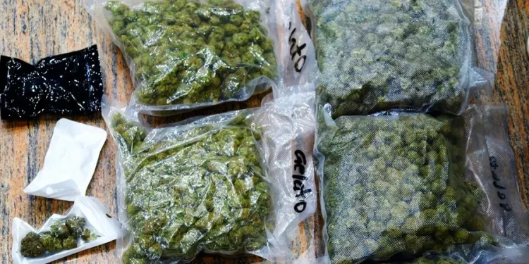 1.86 കോടിയുടെ ഹെെബ്രിഡ് കഞ്ചാവ് കടത്താൻ ഡോക്ടർമാരുടെ ശ്രമം; പരിശോധനയിൽ കുടുങ്ങി, അറസ്റ്റ്