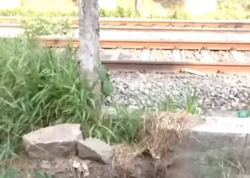 യുവതിയെ ചവിട്ടി വീഴ്ത്തി; തുണികൊണ്ട് മൂടി ക്രൂരമർദനം, മോഷണം; അക്രമിക്കായി തിരച്ചിൽ