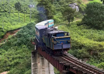 3 ലക്ഷം രൂപ മുടക്കി ഊട്ടിയിലേക്കുള്ള പൈതൃക ട്രെയിൻ വാടകയ്ക്കെടുത്ത് ജർമൻ സ്വദേശികൾ
