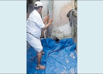 പഞ്ചായത്ത് പ്രസിഡന്റിന്റെ ‘രക്ഷാപ്രവർത്തനം’: മുള്ളൻപന്നിയെ തല്ലിക്കൊന്നു; കേസായി