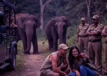 വന്യമൃഗങ്ങള്‍ക്കൊപ്പം സെല്‍ഫി; മസിനഗുഡിയില്‍ സഞ്ചാരികള്‍ക്ക് നിയന്ത്രണം, ലംഘിച്ചാല്‍ കര്‍ശന നടപടി