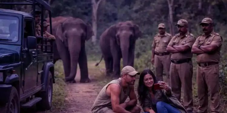 വന്യമൃഗങ്ങള്‍ക്കൊപ്പം സെല്‍ഫി; മസിനഗുഡിയില്‍ സഞ്ചാരികള്‍ക്ക് നിയന്ത്രണം, ലംഘിച്ചാല്‍ കര്‍ശന നടപടി