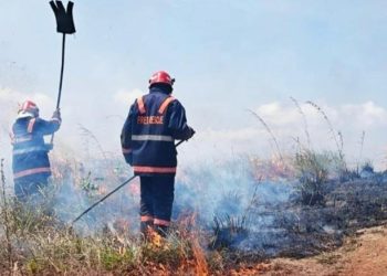 മുനീശ്വരം കുന്നിന് സമീപം തീപിടുത്തം