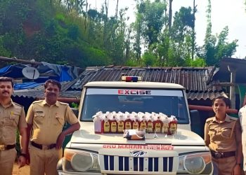 വെൺമണിയിൽ വൻ മദ്യവേട്ട: 52 ലിറ്റർ മാഹി മദ്യം പിടികൂടി; ഒരാൾക്കെതിരെ കേസെടുത്തു