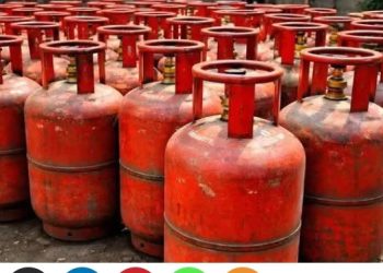അനധികൃത എൽ.പി.ജി സിലിണ്ടർ സംഭരണം: അഞ്ച് സിലിണ്ടറുകൾ പിടിച്ചെടുത്തു