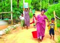 കുടിവെള്ളത്തിനായി നെട്ടോട്ടമോടി പച്ചിലക്കാട് പടിക്കംവയൽ ഉന്നതിയിലെ കുടുംബങ്ങൾ