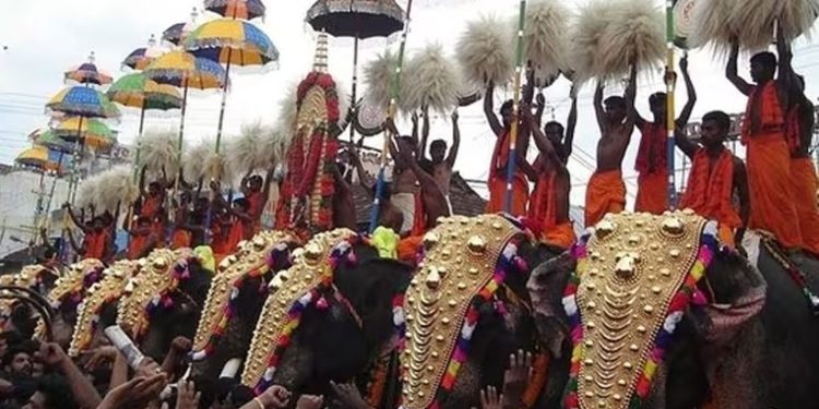 തൃശൂർ പൂരത്തിന് വെടിക്കെട്ടില്ല; ആചാരങ്ങൾ മാത്രം, കുടമാറ്റം ലളിതമാക്കും