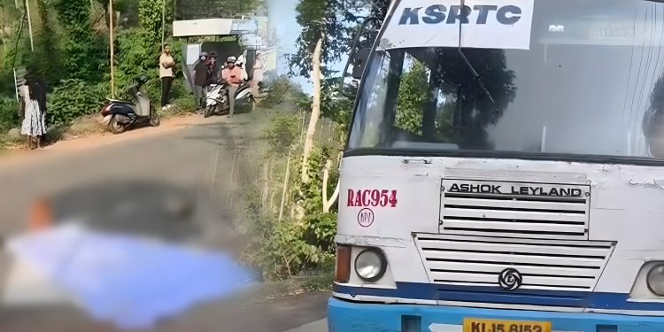 വാഹനാപകടത്തിൽ വയോധികയ്ക്ക് ദാരുണാന്ത്യം