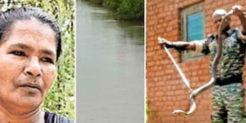 കാലിൽ വള്ളി ചുറ്റുന്നതുപോലെ തോന്നി; അലക്കിക്കൊണ്ടിരുന്ന സ്ത്രീയുടെ കാലിൽ മൂർഖൻ പാമ്പ് ചുറ്റി