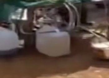 ലഹരിവിൽപ്പനയിൽ നിന്ന് കഞ്ചാവ് രാജാവായി മാറിയ അലൻ; ഘോരവനത്തിനുള്ളിലെ താവളം കണ്ട് പോലീസ് ഞെട്ടി