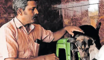 സ്വന്തമല്ലെങ്കിലും ഈ അമ്മ കുഞ്ഞാടിന്റെ സ്വന്തം; പട്ടിയുടെ പാൽ കുടിച്ചു വളരുന്ന കുഞ്ഞാട്: അപൂർവ കാഴ്ച