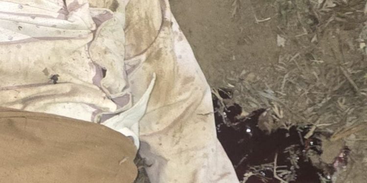 കാട്ടാന ആക്രമണത്തിൽ യുവാവ് കൊല്ലപ്പെട്ടു