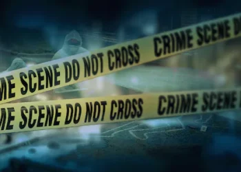 വിവാഹഫീസ് ചോദിച്ചു, ബ്രോക്കറുടെ തല അടിച്ചുപൊട്ടിച്ചു; സഹോദരങ്ങൾ പിടിയിൽ