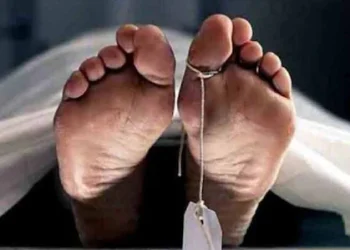 റോഡരികിലേക്ക് ഇറങ്ങി ലോറി, പിക്കപ്പ് ഉപയോഗിച്ച് കെട്ടി വലിക്കാന്‍ ശ്രമത്തിനിടെ അപകടം; വയോധികന്‍ മരിച്ചു