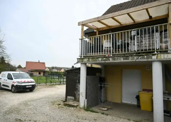 പങ്കാളിയുടെ ഭീഷണി, 2024ൽ അച്ഛൻ വാനിലടച്ച കുട്ടിയ്ക്ക് മോചനം