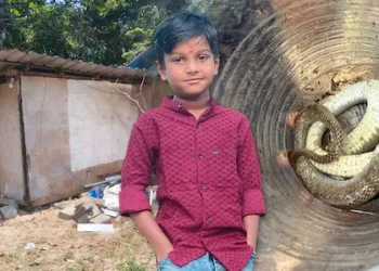 ആ കുഞ്ഞ് ഉറങ്ങിയത് ഷീറ്റ് കെട്ടി മറച്ച കൂരയിൽ; ഇഷ്ടികയ്ക്കിടയിൽ ഒളിച്ചിരുന്ന മൂർഖൻ; ഡോക്ടർ തൊട്ടു നോക്കിയില്ലെന്ന് പിതാവ്