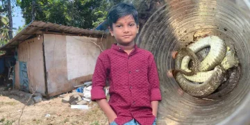 ആ കുഞ്ഞ് ഉറങ്ങിയത് ഷീറ്റ് കെട്ടി മറച്ച കൂരയിൽ; ഇഷ്ടികയ്ക്കിടയിൽ ഒളിച്ചിരുന്ന മൂർഖൻ; ഡോക്ടർ തൊട്ടു നോക്കിയില്ലെന്ന് പിതാവ്