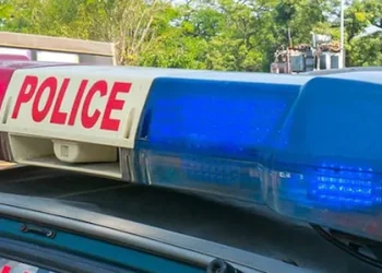 ഗതാഗതം തടസ്സപ്പെടുത്തി ‍‍നൃത്തം, വിലക്കി എസ്ഐ; പിന്നാലെ മർദനം, സിപിഎം ലോക്കൽ സെക്രട്ടറി അറസ്റ്റിൽ