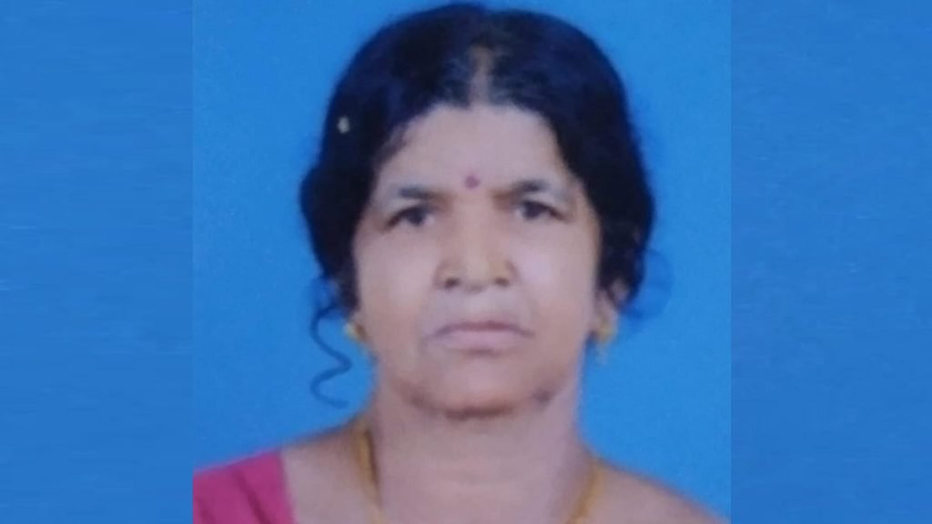 ഇറങ്ങുന്നതിനിടെ കാല്‍ തെറ്റി ബസ്സിനടിയില്‍പ്പെട്ടു; വീട്ടമ്മയ്ക്ക് ദാരുണാന്ത്യം