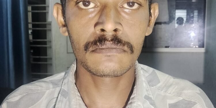 നിർത്തിയിട്ട ഗുഡ്സ് ഓട്ടോറിക്ഷയിൽ നിന്നും ബാറ്ററി മോഷ്ടിച്ചയാൾ പിടിയിൽ