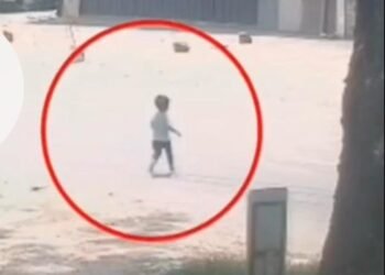 അത്ഭുതകരമായ രക്ഷപെടൽ: വയനാട്ടിൽ ബന്ധുക്കളുടെ കൈ വിട്ട് റോഡിലേക്ക് ഓടിയ കുരുന്നിന് ട്രാവലർ ഡ്രൈവർ രക്ഷകനായി