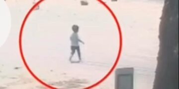 അത്ഭുതകരമായ രക്ഷപെടൽ: വയനാട്ടിൽ ബന്ധുക്കളുടെ കൈ വിട്ട് റോഡിലേക്ക് ഓടിയ കുരുന്നിന് ട്രാവലർ ഡ്രൈവർ രക്ഷകനായി