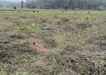 വന്യജീവി ഭീഷണിയിൽ കൃഷിയിടങ്ങൾ തരിശായി; ഉപജീവനം നഷ്ടമായി അതിർത്തി ഗ്രാമങ്ങൾ