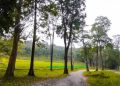 ചാറൽമഴ പൊലും കിട്ടാതെ വയനാട് ജില്ലയിലെ അതിർത്തിയിലെ ഗ്രാമങ്ങൾ