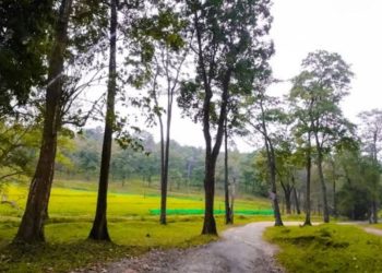 ചാറൽമഴ പൊലും കിട്ടാതെ വയനാട് ജില്ലയിലെ അതിർത്തിയിലെ ഗ്രാമങ്ങൾ