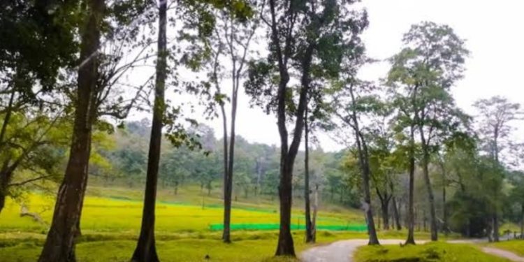 ചാറൽമഴ പൊലും കിട്ടാതെ വയനാട് ജില്ലയിലെ അതിർത്തിയിലെ ഗ്രാമങ്ങൾ