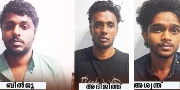 വനിതാ എസ്.ഐയെ അക്രമിച്ചു പരിക്കേല്പിച്ച സംഭവത്തിൽ കാപ്പ കേസ് പ്രതിയടക്കം മൂന്ന് പേർ പിടിയിൽ