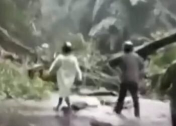 താമരശ്ശേരി ചുരത്തില്‍ മരം വീണു; മണിക്കൂറുകളോളം ഗതാഗതക്കുരുക്ക്