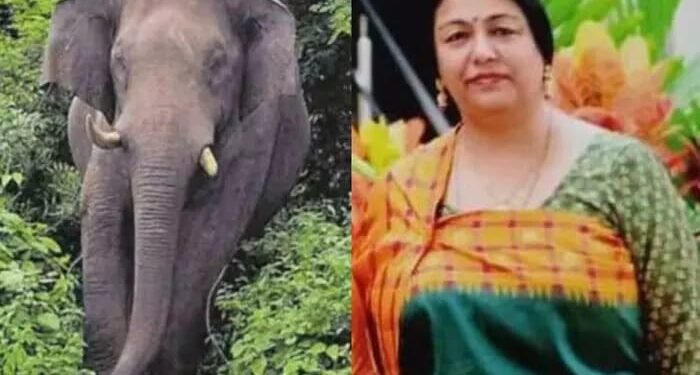 കുടകില്‍ കാട്ടാന ആക്രമണം; മുതിര്‍ന്ന ഐപിഎസ് ഉദ്യോഗസ്ഥന്റെ ഭാര്യയ്ക്ക് ദാരുണാന്ത്യം