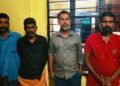 ലക്ഷങ്ങൾ വിലമതിക്കുന്ന വീട്ടിമരം മുറിച്ചു കടത്താൻ ശ്രമിച്ചവർ റിമാൻഡിൽ