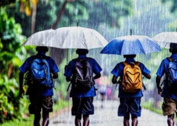 കാലവർഷം കനക്കുന്നു; നാളെ 3 ജില്ലകളിലെ വിദ്യാഭ്യാസ സ്ഥാപനങ്ങൾക്ക് അവധി