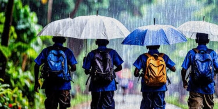 കാലവർഷം കനക്കുന്നു; നാളെ 3 ജില്ലകളിലെ വിദ്യാഭ്യാസ സ്ഥാപനങ്ങൾക്ക് അവധി