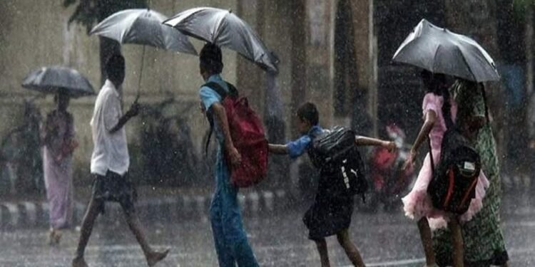 നാളെ രണ്ട് ജില്ലകളില്‍ വിദ്യാഭ്യാസ സ്ഥാപനങ്ങള്‍ക്ക് അവധി