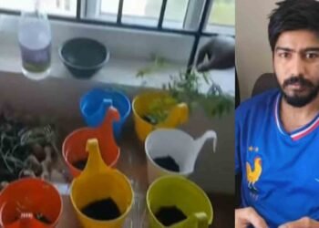 പകല്‍ ഐടി കമ്പനി മാനേജര്‍, രാത്രി ഫ്‌ലാറ്റില്‍ കഞ്ചാവു കൃഷി; പാലില്‍ ചേര്‍ത്ത് കുടിക്കുമെന്ന് മൊഴി, അറസ്റ്റ്
