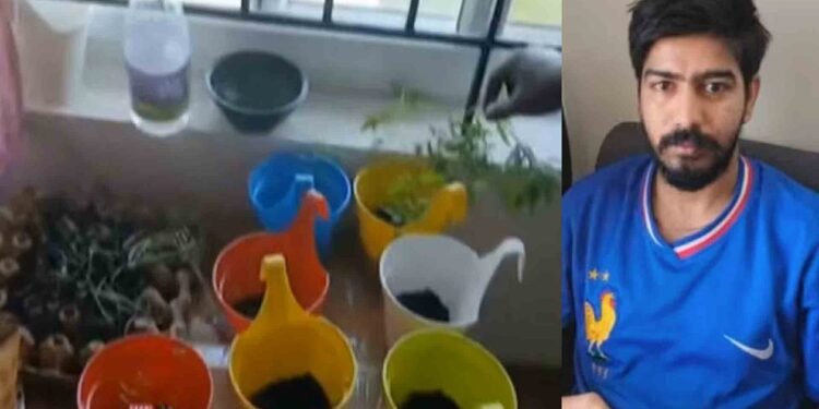 പകല്‍ ഐടി കമ്പനി മാനേജര്‍, രാത്രി ഫ്‌ലാറ്റില്‍ കഞ്ചാവു കൃഷി; പാലില്‍ ചേര്‍ത്ത് കുടിക്കുമെന്ന് മൊഴി, അറസ്റ്റ്