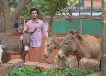 കഴുതവളര്‍ത്തലുമായി 22കാരൻ, പാല്‍ ലിറ്ററിന് 6000 രൂപ;പഠിച്ചത് വയനാട്ടിൽ