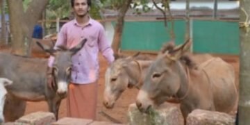 കഴുതവളര്‍ത്തലുമായി 22കാരൻ, പാല്‍ ലിറ്ററിന് 6000 രൂപ;പഠിച്ചത് വയനാട്ടിൽ
