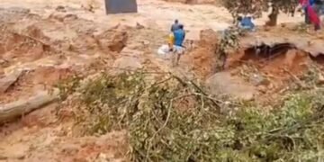 വയനാട് തുരങ്കപാതയ്ക്ക് സമീപം വൻ മണ്ണിടിച്ചിൽ