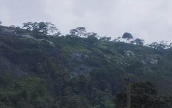 മണ്ണിടിഞ്ഞ മീനാക്ഷി പ്രദേശം കാമല്‍ ഹമ്പ് മലനിരുടെ ഭാഗം