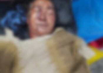 വാഹനാപകടം;കാൽനടയാത്രിക മരിച്ചു