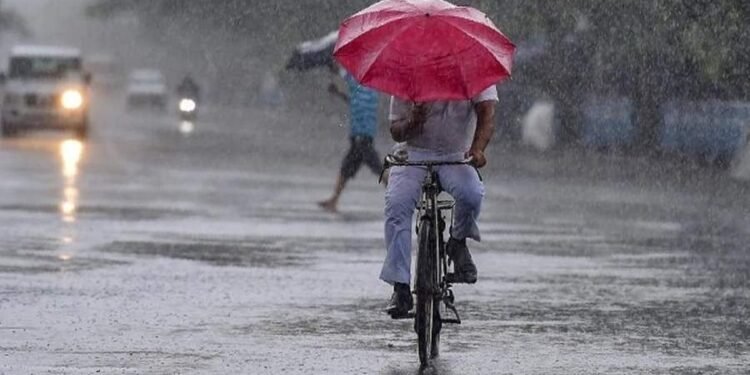 ശക്തമായ മഴ തുടരും; ഇന്ന് അഞ്ച് ജില്ലകളില്‍ യെല്ലോ അലര്‍ട്ട്