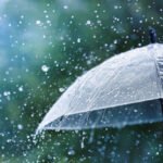 കേരളത്തിൽ 26 വരെ മഴ തുടരും. ഇന്ന് 9 ജില്ലകളിൽ ഓറഞ്ച് അലർട്ട് പ്രഖ്യാപിച്ചു